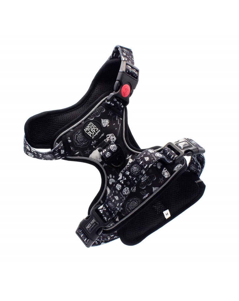 Bad To The Bone-io • Ruff ‘n Ready Harness
