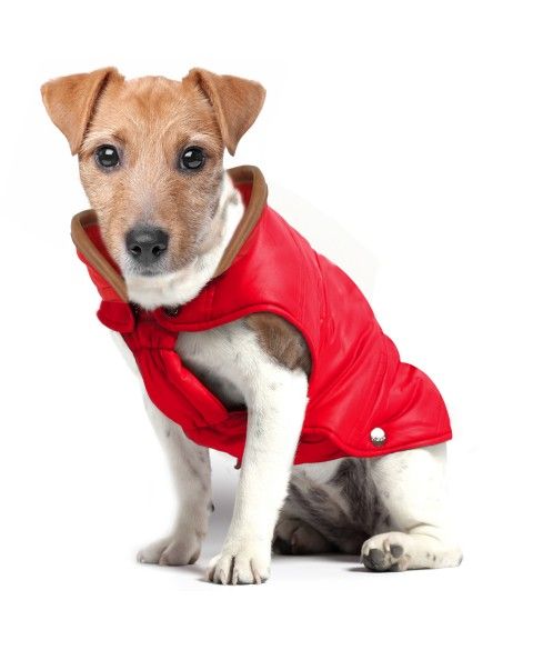 Pet product