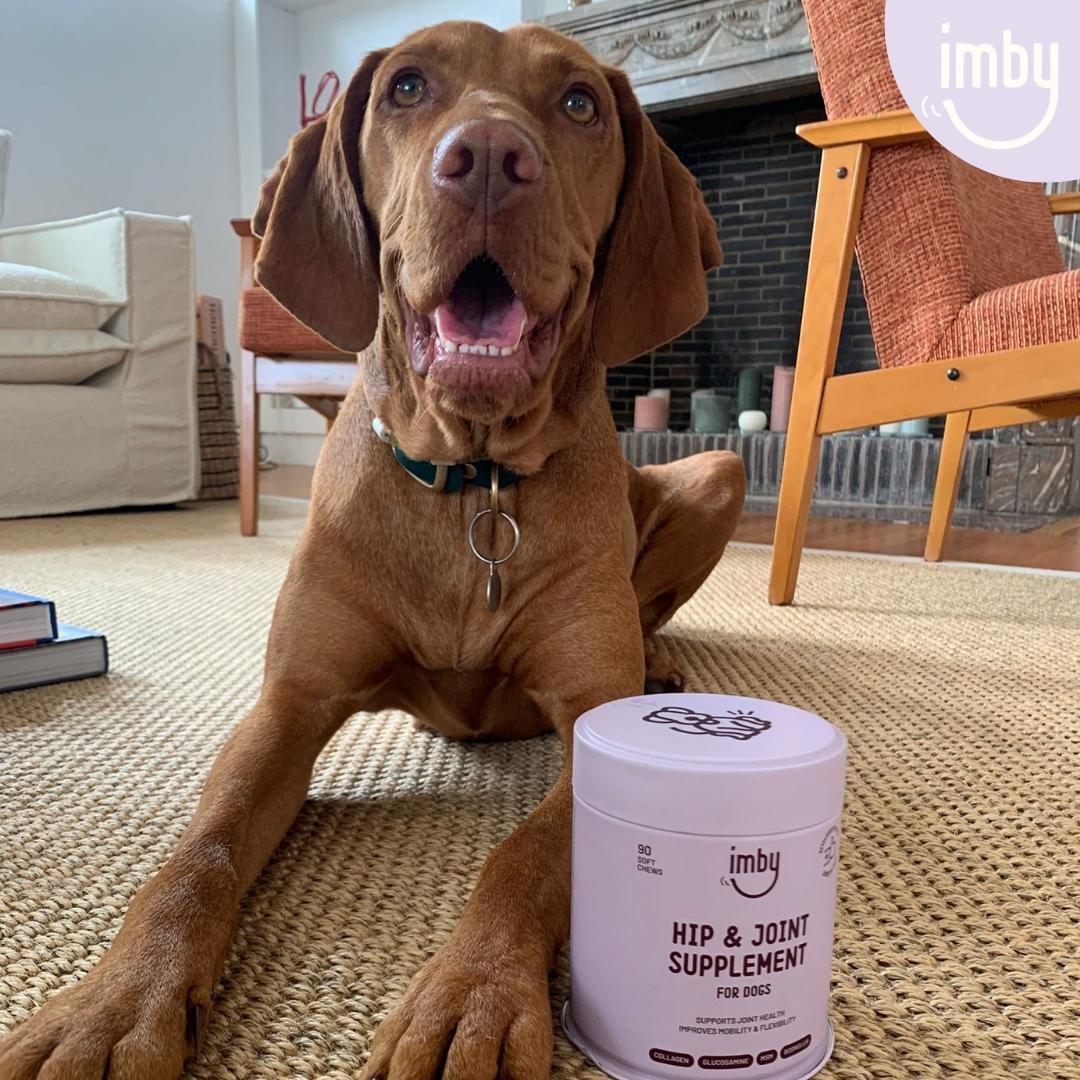 Pet product