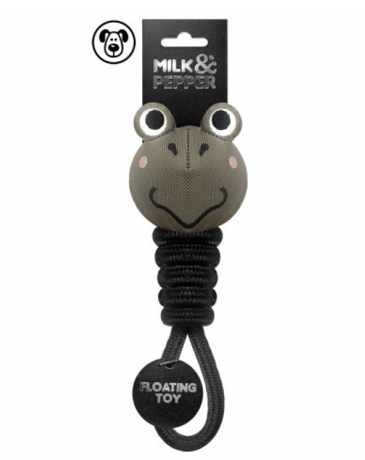 FROG Toy
