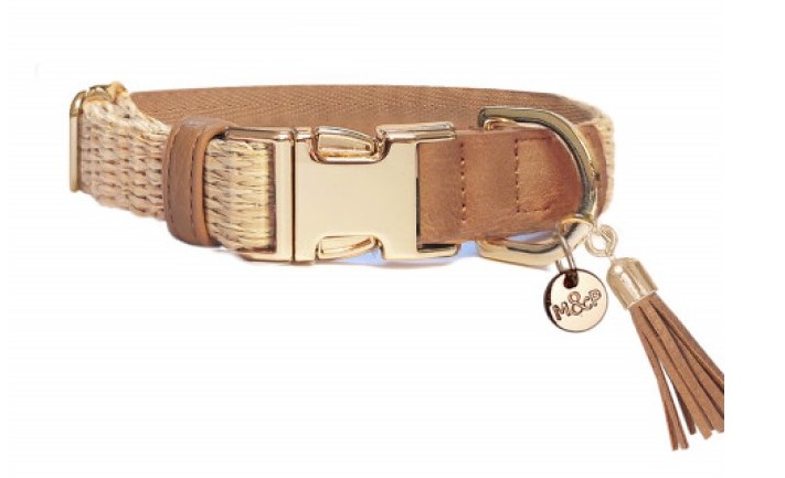 Anissa Adjustable Collar