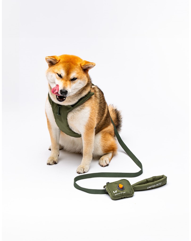 Pet product hover