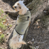 Pet product hover