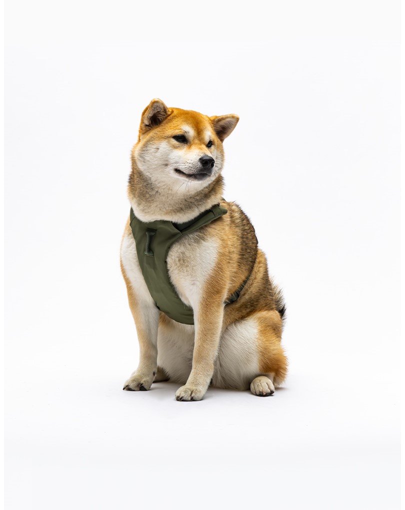 Pet product