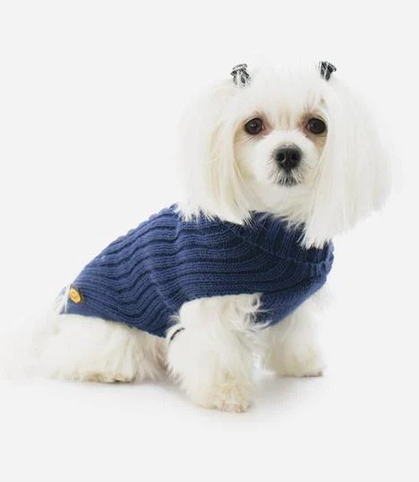 Sweater Blue Classic
