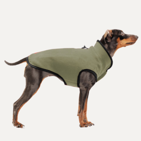 Pet product