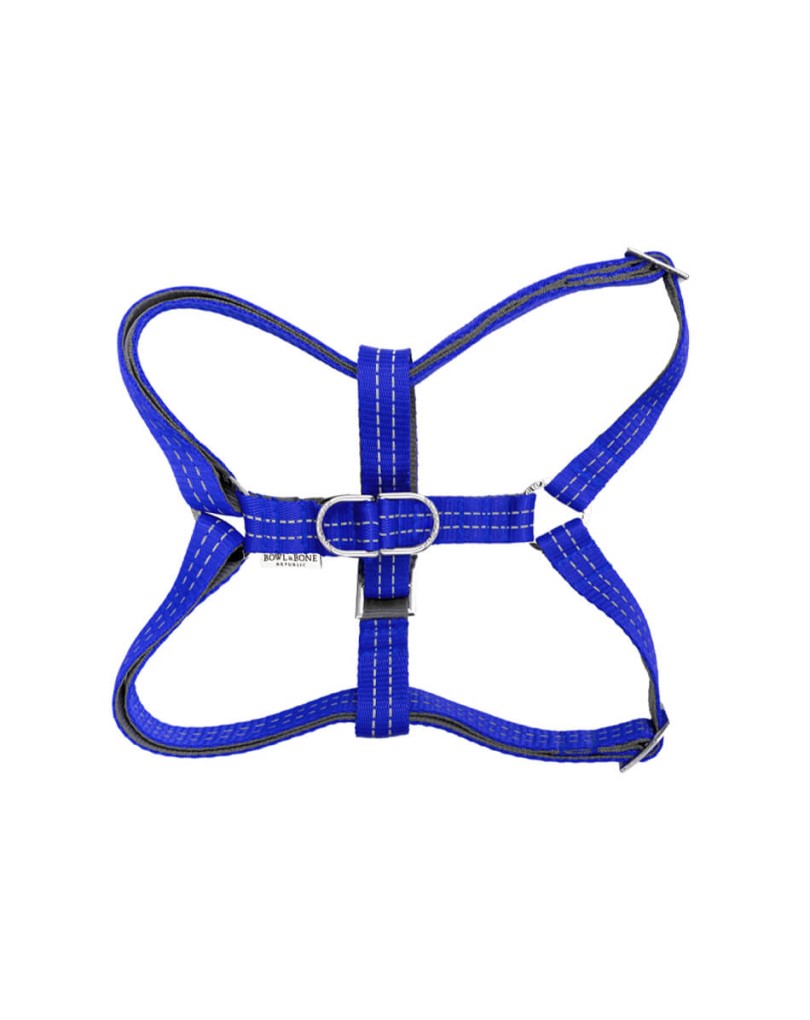 Dog Harness Active Blue