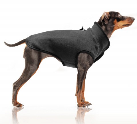 Pet product